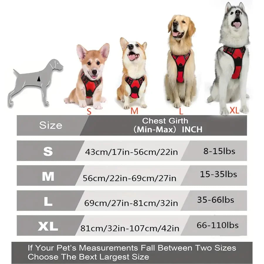 PupTrainer Harness