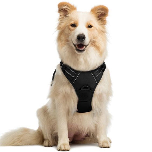 PupTrainer Harness